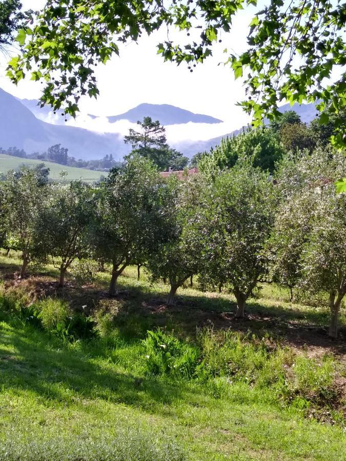 Cabernet Cottage Be Still And Know Franschhoek Exterior photo